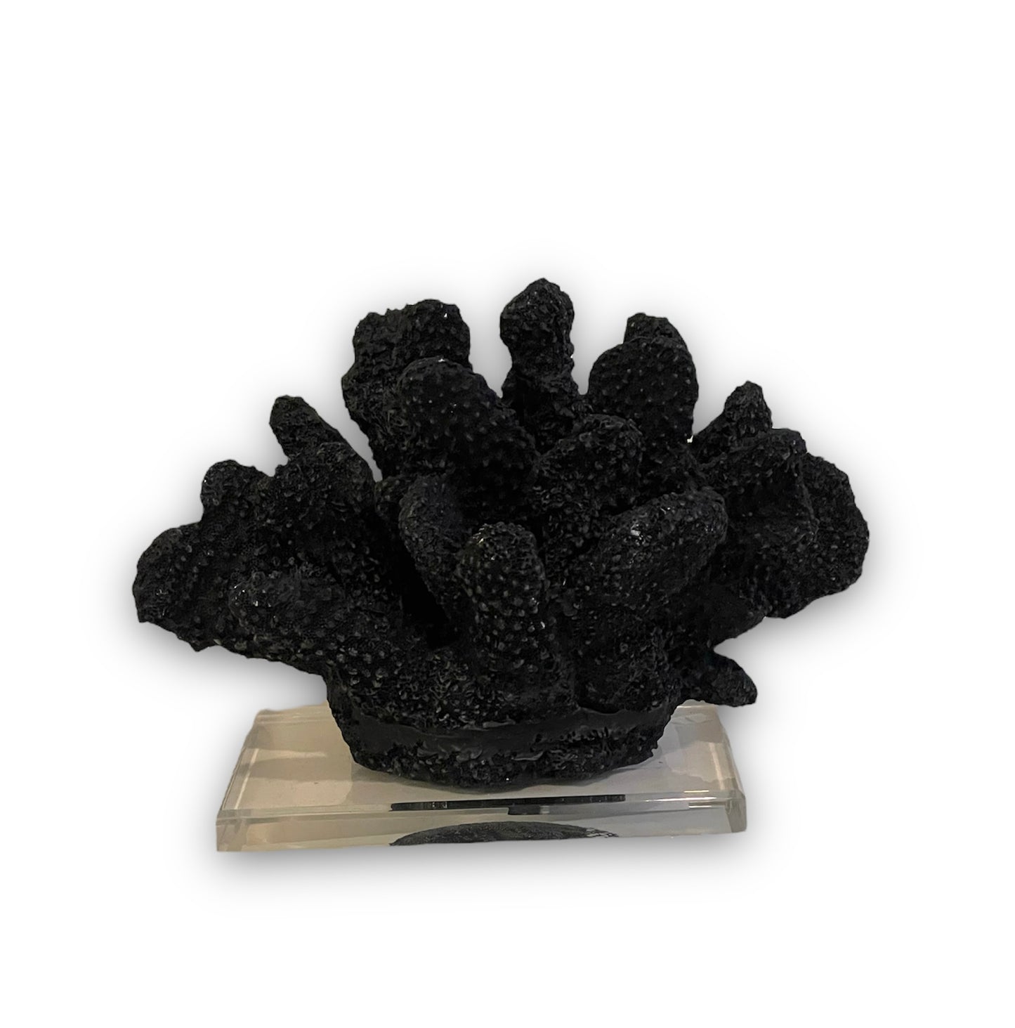Black Faux Coral