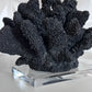 Black Faux Coral