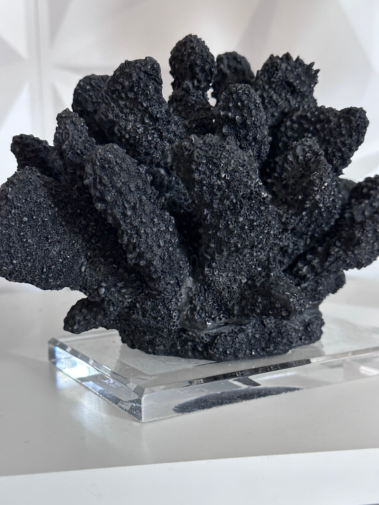 Black Faux Coral